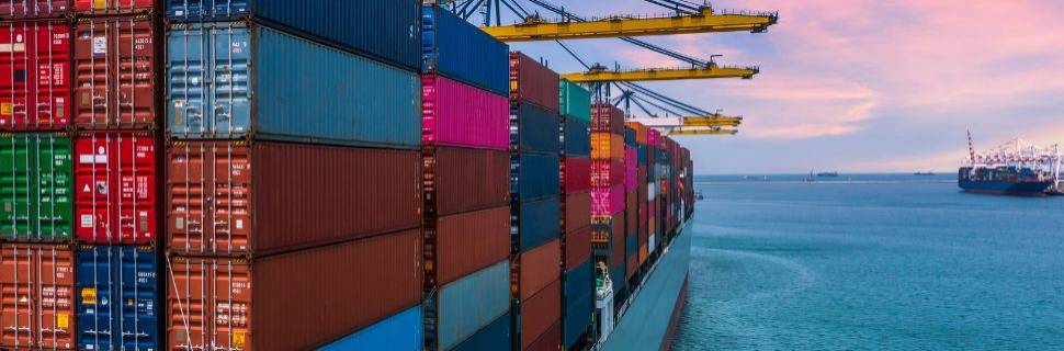 A Balança Comercial brasileira de pescado em 2024