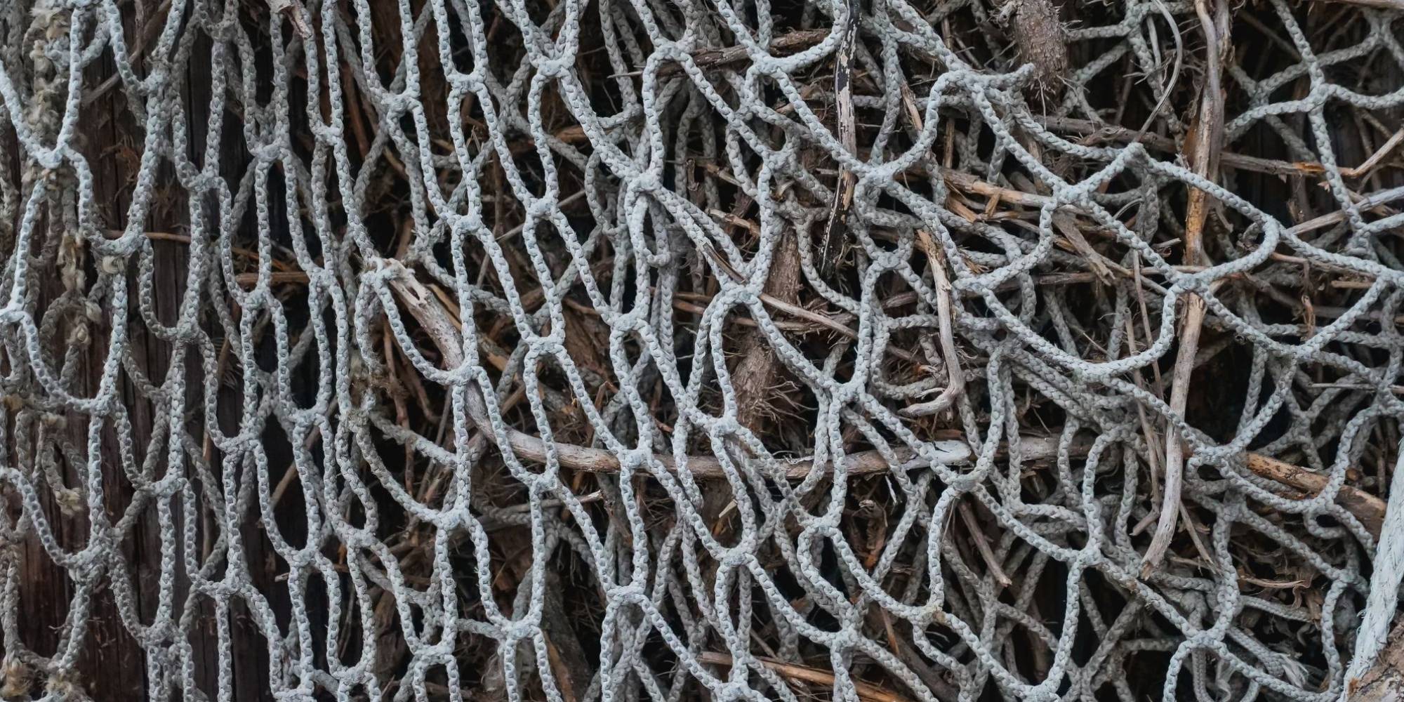 Após mais uma temporada de polêmicas, MPA anuncia GT da tainha