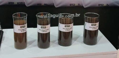 Raguife focou em nutrição e expansão fabril durante a Aquishow Brasil