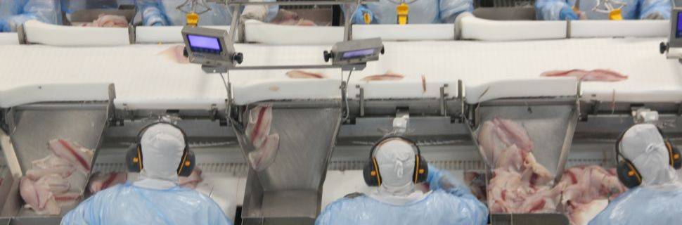 Na esteira por novas marés em 2026