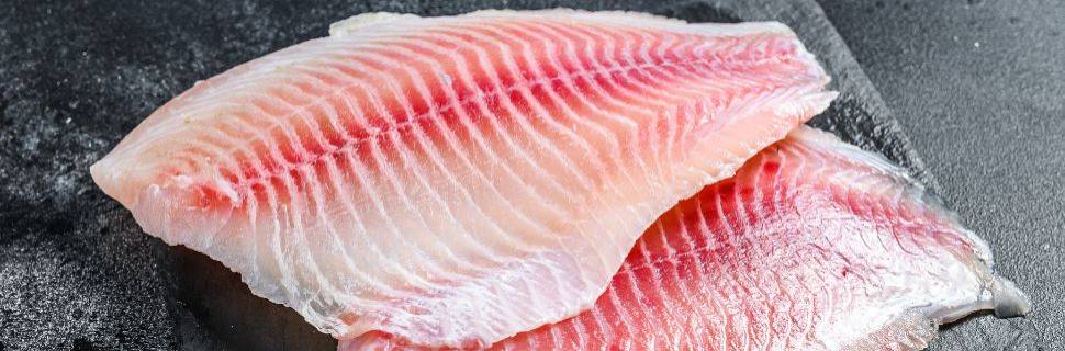 >Primeira exportação de tilápia para os EUA sem o CSI é feita Primeira exportação de tilápia para os EUA sem o CSI é feita