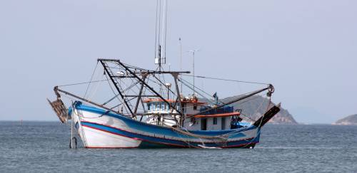 Pesca sustentável avança no mundo, mas cenário no Brasil exige atenção