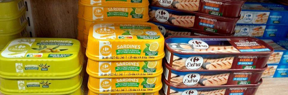 Como especialistas em embalagens inovam a indústria do pescado 