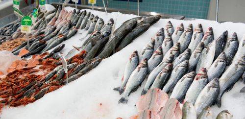 Sou consumidor, estou na gôndola e é Páscoa: como escolher meu peixe?