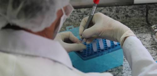 Pós-larvas: genética e metagenômica na aquicultura Pós-larvas: genética e metagenômica na aquicultura