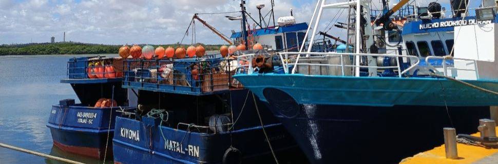 MPA e MMA definem regras no monitoramento das cotas de atuns e afins