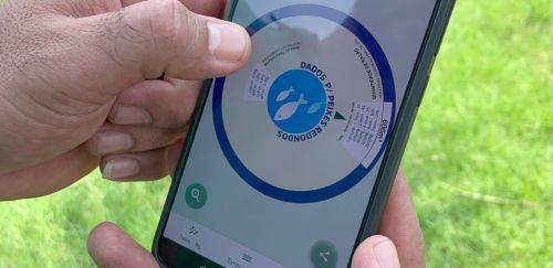 Aplicativo para piscicultura é criado pelo governo do Tocantins 