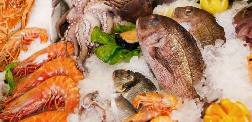 O que a adesão de São Paulo ao SISBI-POA significa ao pescado?