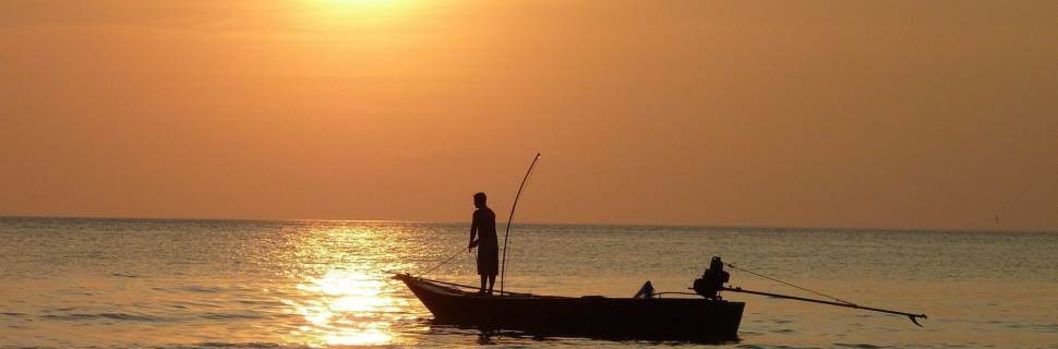 Pesca Sustentável e Rentável: setor precisa se adequar