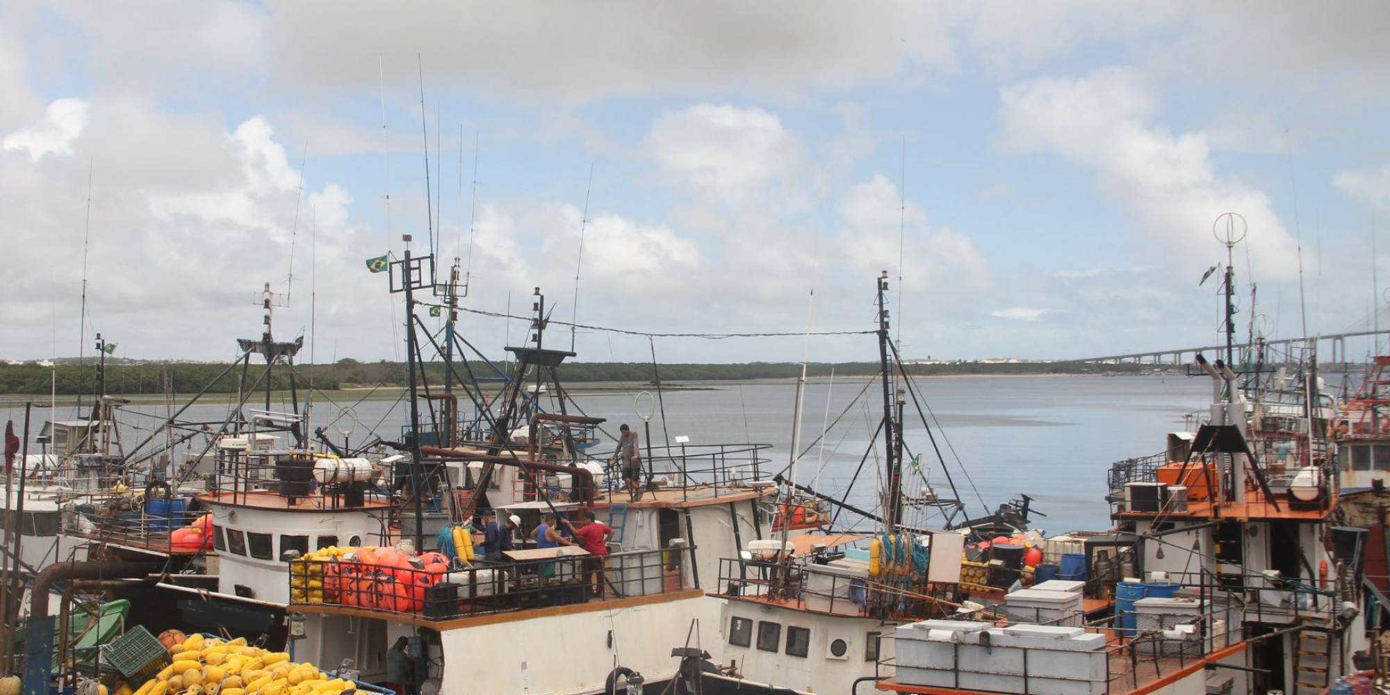 Governo publica cotas de capturas de espécies de atuns e afins