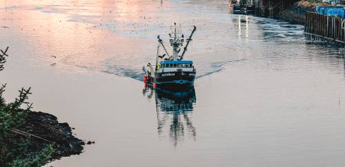 Peixes Selvagens do Alasca: marketing para consumo o ano todo Peixes Selvagens do Alasca: marketing para consumo o ano todo