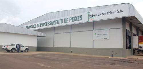 Peixes da Amazônia é arrematada por R$ 13,1 milhões 