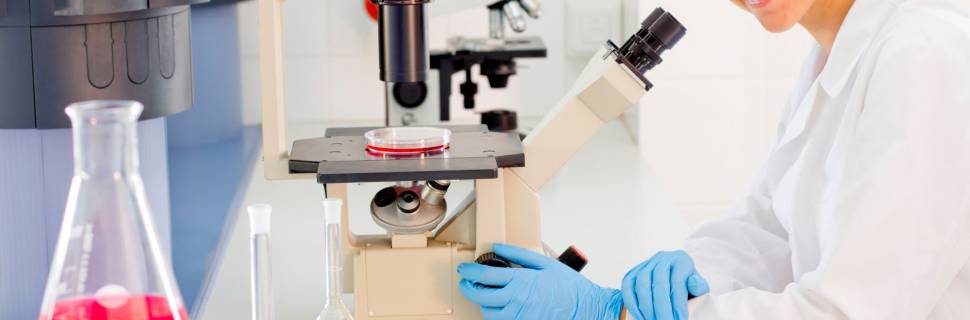 Foodtech de carne de pescado celular inaugura novo laboratório