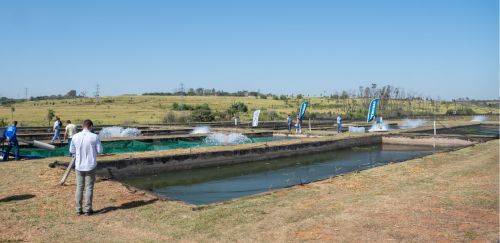 MPA e Embrapa lançam Mapeamento dos Viveiros Escavados
