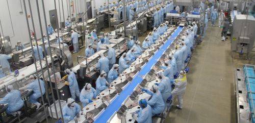 C. Vale amplia seu processamento e bate recorde de produção de tilápia