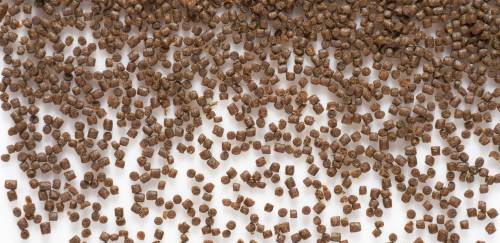 Produção global de ração para aquicultura cresceu 2,7% em 2022