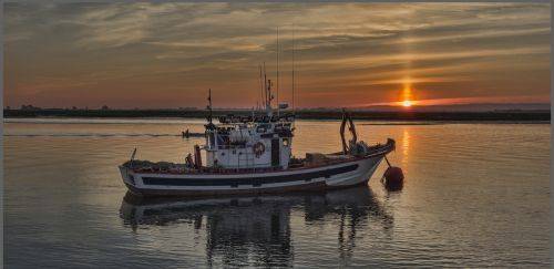 Plataforma Nacional da Indústria do Pescado é oficialmente lançada