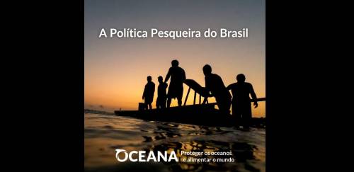 Relatório da Oceana discute 
