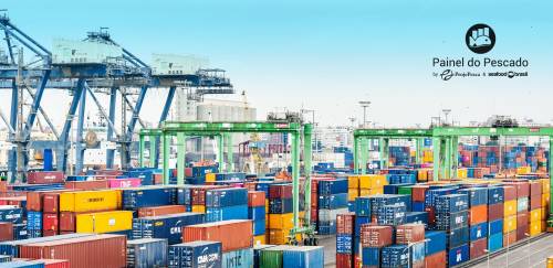 Brasil tem queda de receitas com exportação de pescado até abril
