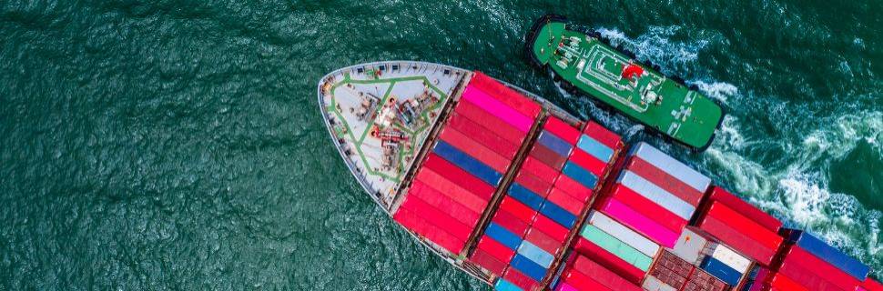 Convênio entre ApexBrasil e Abipesca é renovado e mira exportações