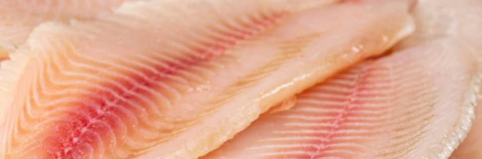 Tarifa de 50% dos EUA coloca exportação de pescado do Brasil em risco 