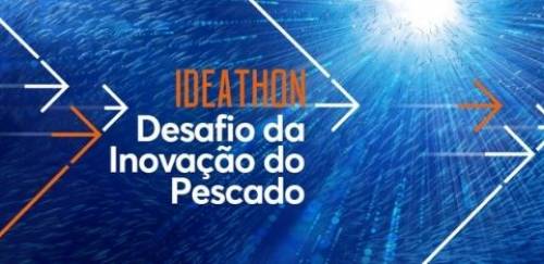 Desafio de Inovação do Pescado chega à fase de Ideathon