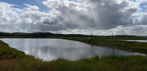 Carapitanga: investimento e ampliação para se manter entre os grandes Carapitanga: investimento e ampliação para se manter entre os grandes