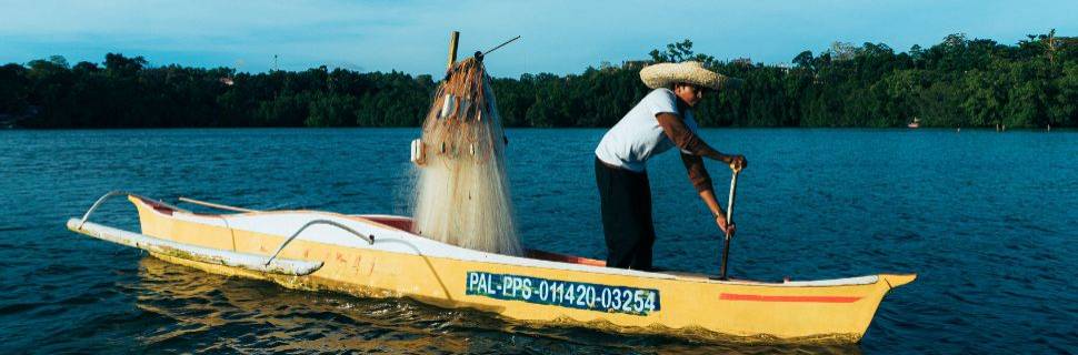 >MPA inicia força-tarefa para resolver pendências no RGP MPA inicia força-tarefa para resolver pendências no RGP