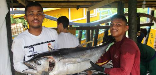 Em parceria internacional, Prime Seafood anuncia FIP do atum albacora