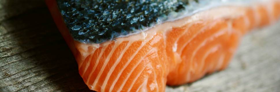 Argentina proíbe criação de salmão na Terra do Fogo