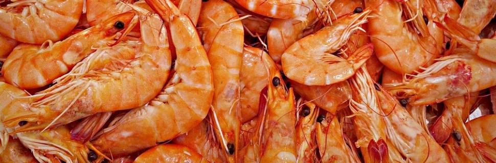 Justiça libera importação de camarão argentino