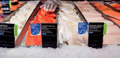 Empresas certificadas aumentam valor de mercado em US$ 23 milhões Empresas certificadas aumentam valor de mercado em US$ 23 milhões