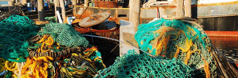 Versão atual do PREPS desagrada pescadores