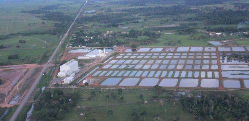 Peixes da Amazônia S.A. tem falência decretada pela justiça do Acre