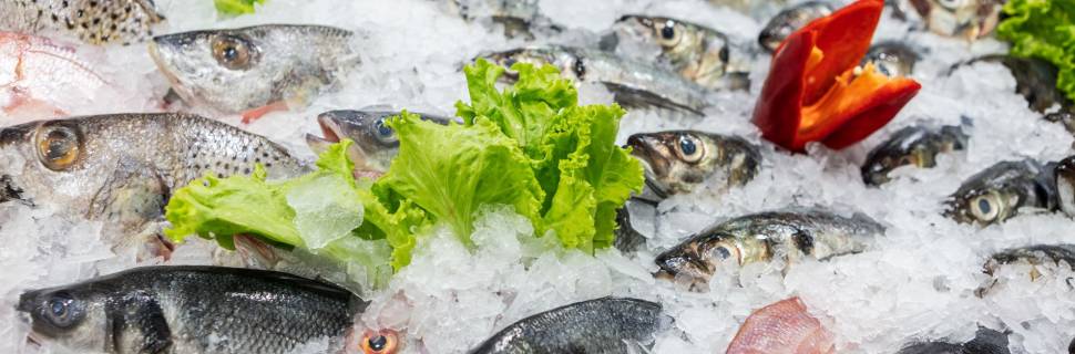 Como atingir o padrão de qualidade de grandes redes varejistas?