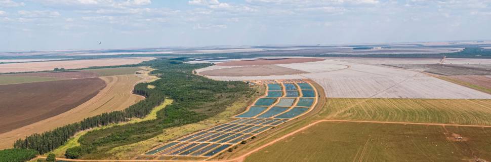 >Anuário PeixeBR 2023: peixes nativos avançam 1,8% Anuário PeixeBR 2023: peixes nativos avançam 1,8%