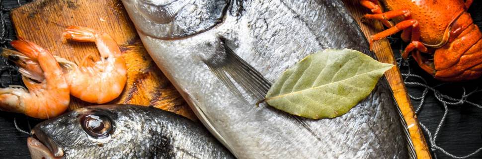 Governo publica decreto que recria Conape