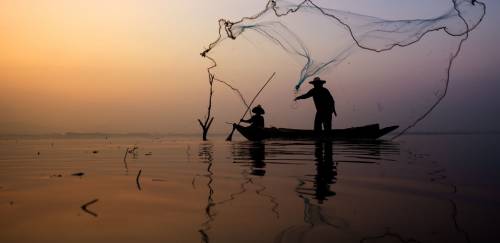 Gestão da sustentabilidade e do pescado: a esperança está na união
