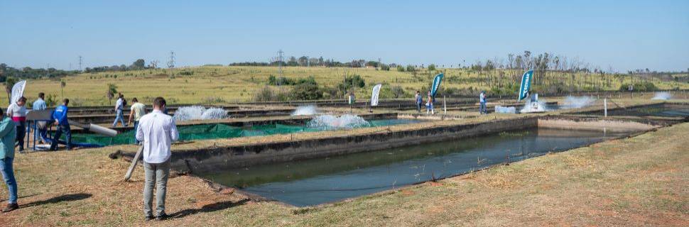 MPA e Embrapa lançam Mapeamento dos Viveiros Escavados