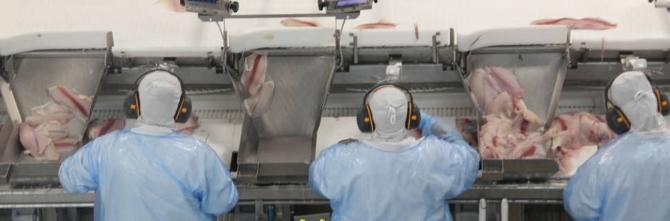 Abipesca pede prioridade ao pescado após encontro de Lula com Trump 