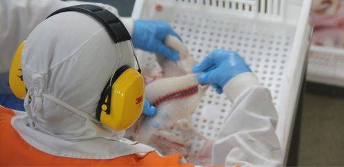 Novas regras para bexiga natatória elevam padrões e ações conjuntas 