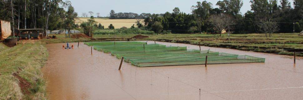 CCJC aprova projeto que moderniza marco legal da aquicultura