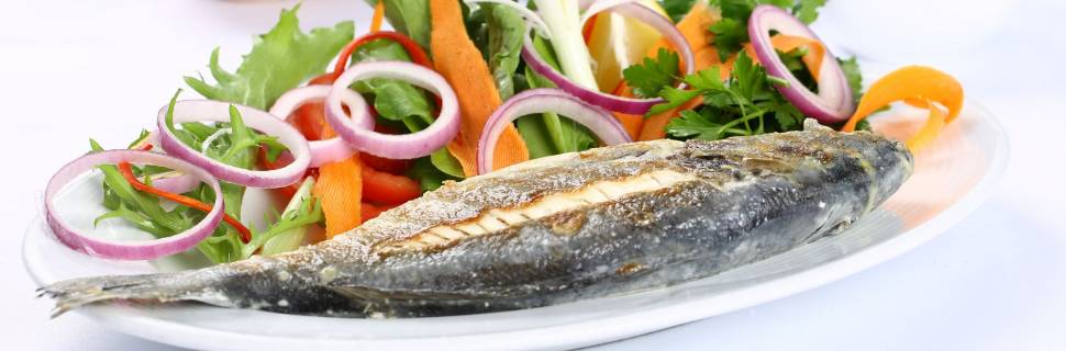 >Pescado pode ajudar na nutrição humana e reduzir as emissões de GEEs Pescado pode ajudar na nutrição humana e reduzir as emissões de GEEs