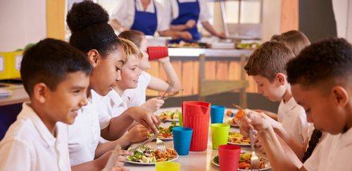 Novo acordo incentiva pescado na alimentação escolar no Brasil