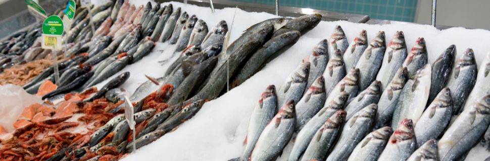 A importância da qualificação de fornecedores na qualidade do pescado 