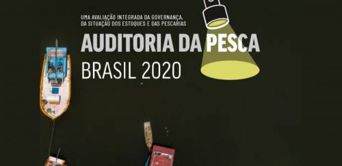 Brasil não conhece 94% dos 118 estoques pesqueiros capturados