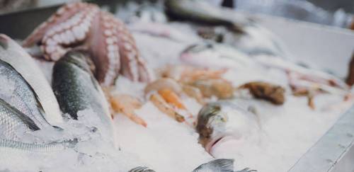 Devemos nos preocupar com a presença de arsênio no pescado? – Pt. 03