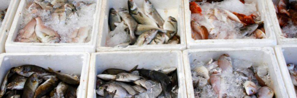 Devemos nos preocupar com a presença de arsênio no pescado? – Pt. 02