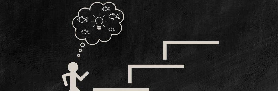 Quais protocolos seguir para desenvolver novos produtos de pescado