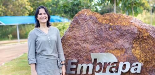 Resultados em meio as adversidades Resultados em meio as adversidades